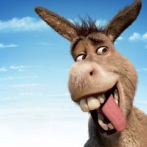Burro de Desenho Animado Engraçado
