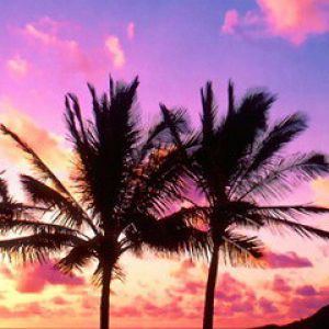 Pôr do sol tropical com palmeiras