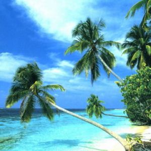 Paraíso da Praia Tropical