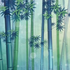 Serenidade da Floresta de Bambu