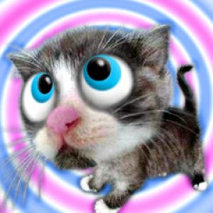 Gato de Desenho Animado Fofo