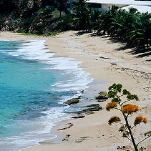 Paraíso da Praia Tropical