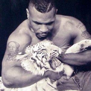 Mike Tyson com um Tigre