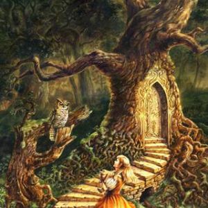 Aventura Fantástica na Floresta