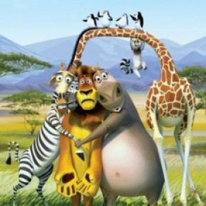 Amigos Animais Animados