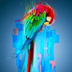 Arte Digital de Papagaio Colorido