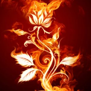 Arte da Flor em Chamas
