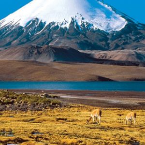 Paisagem de Montanha Coberta de Neve