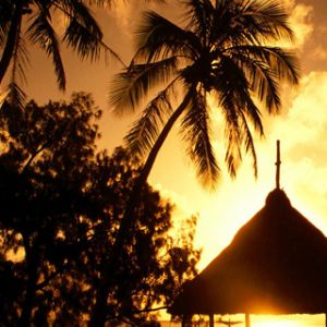 Pôr do Sol Tropical com Palmeiras