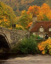 Paisagem de Outono com Ponte