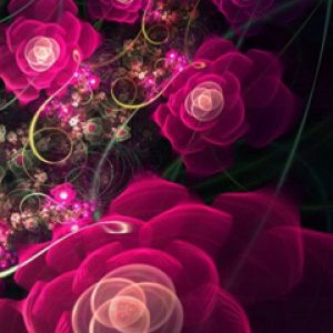 Flores Fractais Rosas