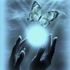 Borboleta e Mãos