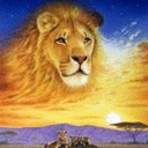 Leão Majestoso ao Pôr do Sol