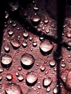 Gotas de água em uma folha