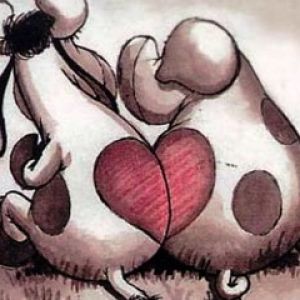 Vacas Fofas Apaixonadas