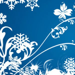 Flocos de Neve de Inverno e Design Floral