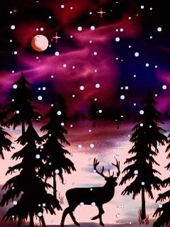 Noite de Inverno com Cervo