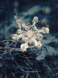 Linda imagem de floco de neve