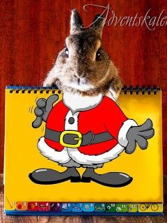 Coelho do Papai Noel