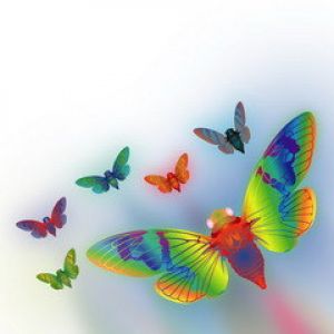 Borboletas Coloridas em Voo