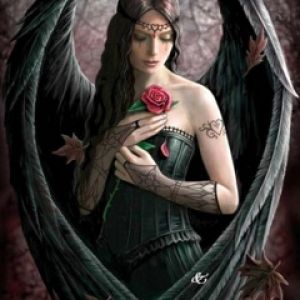 Anjo Fantasia Escura com Rosa