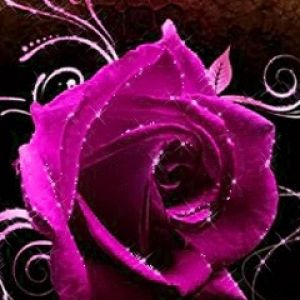Linda Rosa Rosa