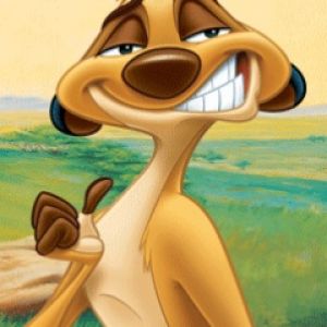 Timon do Rei Leão