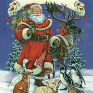 Papai Noel com Animais