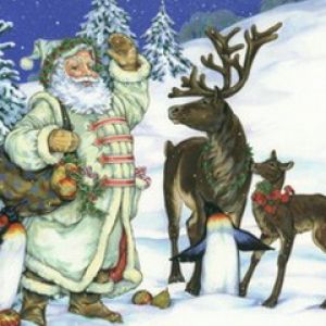 Papai Noel com Renas e Pinguins