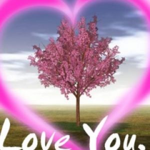 Árvore do Amor Coração
