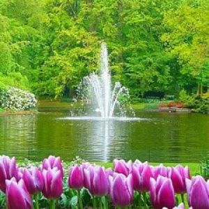 Linda Fonte de Jardim