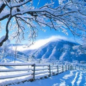 Paisagem de Inverno