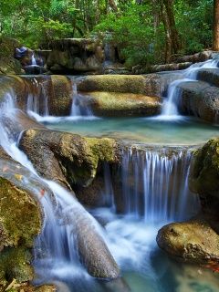 Cascata Serena em Floresta Verdejante