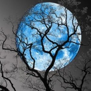 Lua Azul e Árvores Silhuetadas