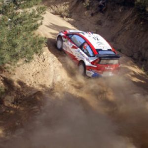 Carro de Rally em Ação