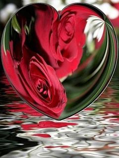 Reflexo de Coração com Rosas