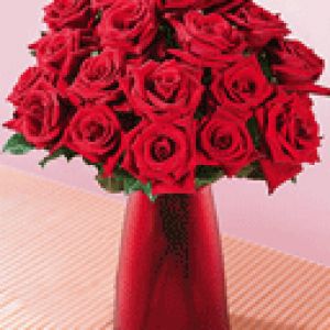Belo Buquê de Rosas Vermelhas