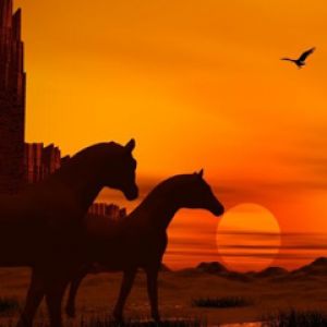 Silhuetas de Cavalos ao Pôr do Sol