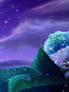 Céu Noturno Roxo com Flores
