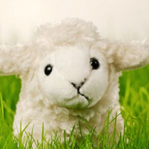 Ovelha de Pelúcia Fofa