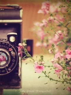 Câmera Vintage com Flores