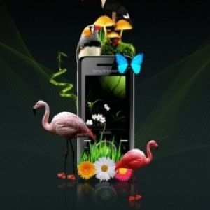 Natureza Tropical com Flamingos