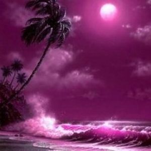 Pôr do Sol no Oceano Roxo