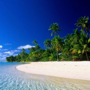 Paraíso da Praia Tropical
