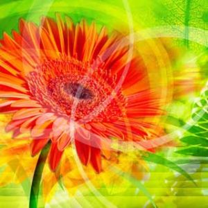 Flor Abstrata Vibrante