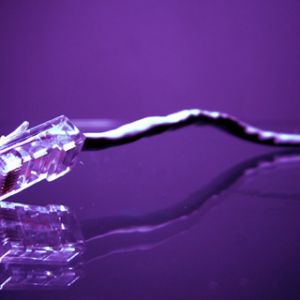 Cabo Ethernet Roxo