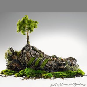 Árvore em miniatura sobre rocha