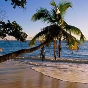 Pôr do Sol na Praia Tropical