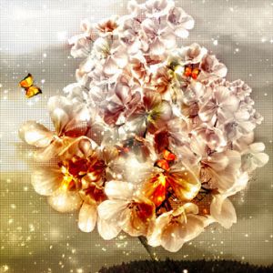 Belo Paisagem Floral