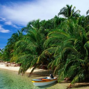 Paraíso de Praia Tropical